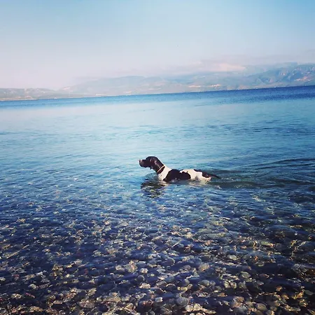 Cabamare شقة *