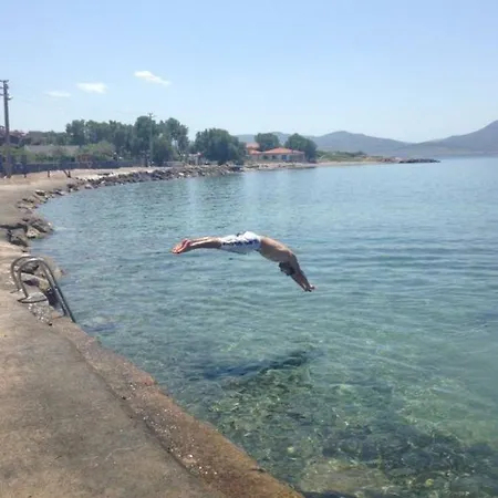 شقة Cabamare أورلا